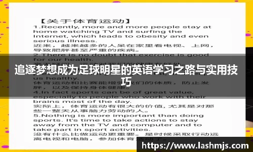 盛世国际网站入口